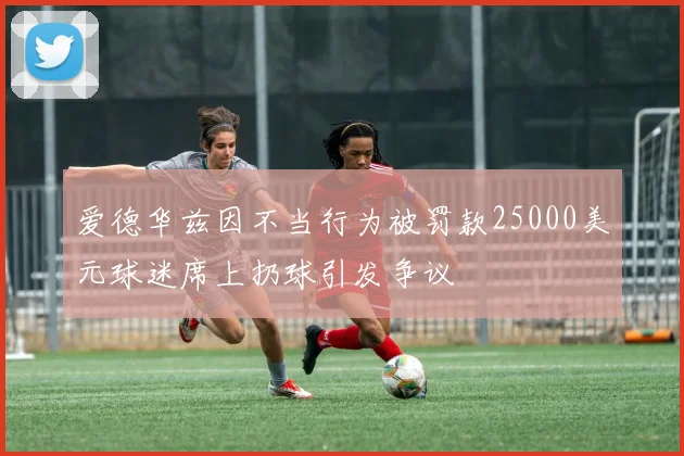 爱德华兹因不当行为被罚款25000美元球迷席上扔球引发争议