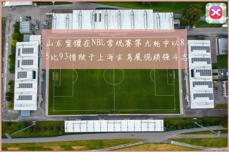 山东蜜獾在NBL常规赛第九轮中以85比93惜败于上海玄鸟展现顽强斗志