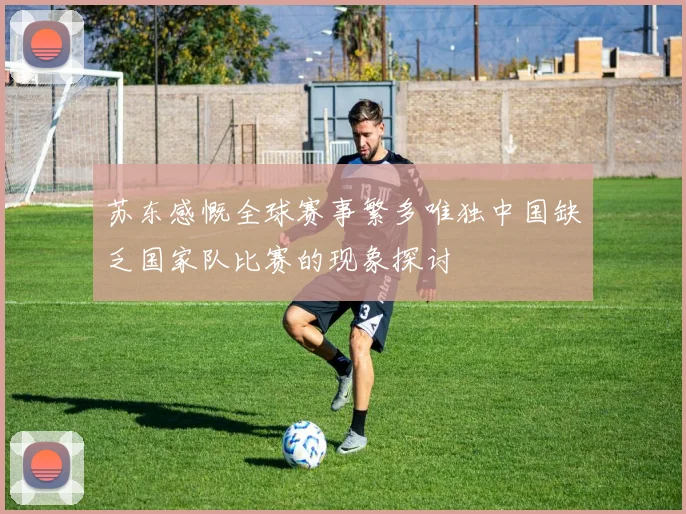 苏东感慨全球赛事繁多唯独中国缺乏国家队比赛的现象探讨