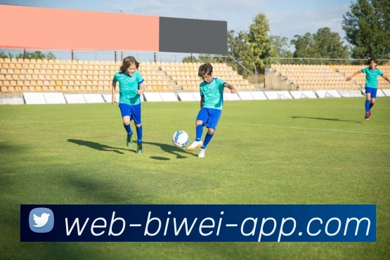 App Interface Preview